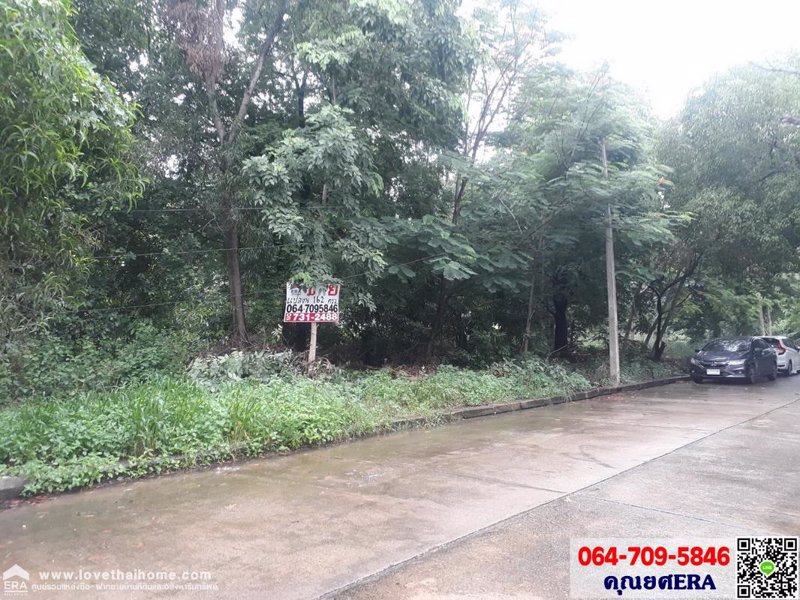 ขายที่ดินถมแล้วถนนเอกทักษิณ-หมู่บ้านเมืองเอกรังสิต-ย่านปทุมธานี